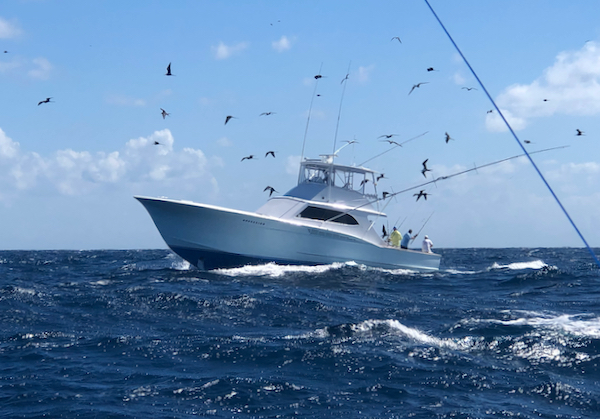 Obsession Newsletter Fishing Charters Outer Banks North Carolina