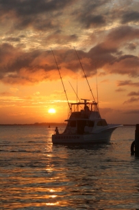 Fishing sailfishing Isla Mujeres Mexico Cancun Obsession Sailfish Captain Jeff Ross Outer Banks NC